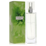 Eau De Parfum Spray 3.4 oz