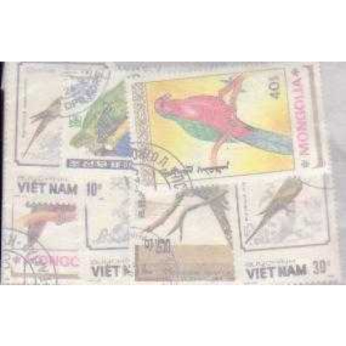 10 Parrots all different stamp