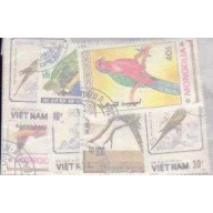 25 Parrots all different stamp
