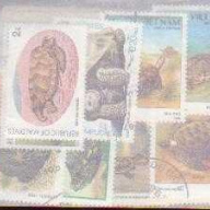 10 Turtles all different stamp