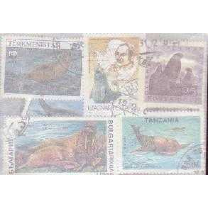 10 Walrusses & Seals all diffe