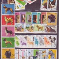 25 All different dogs sets