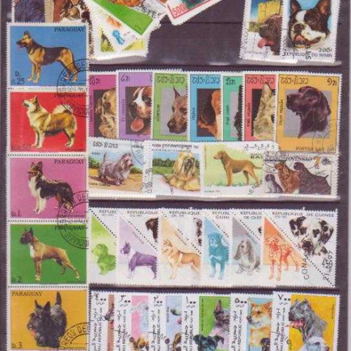 25 All different dogs sets