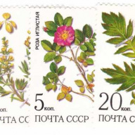 Russia #5379-83 MNH