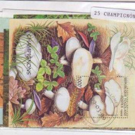 25 Mushrooms Souvenir Sheets