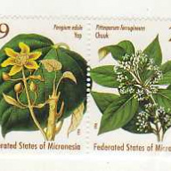Micronesia #195
