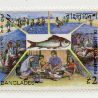 Bangladesh #433