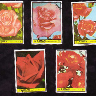 Ajman Roses(5 stamps)