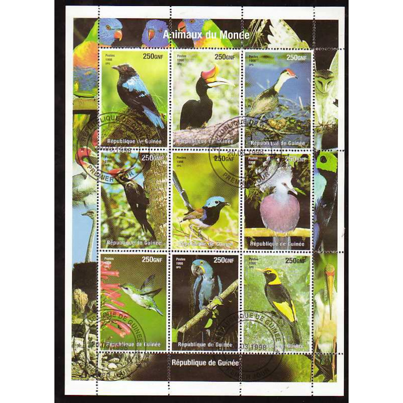 Guinea Birds