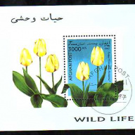 Afghanistan Wild Life