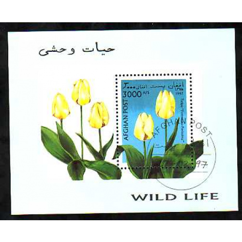 Afghanistan Wild Life