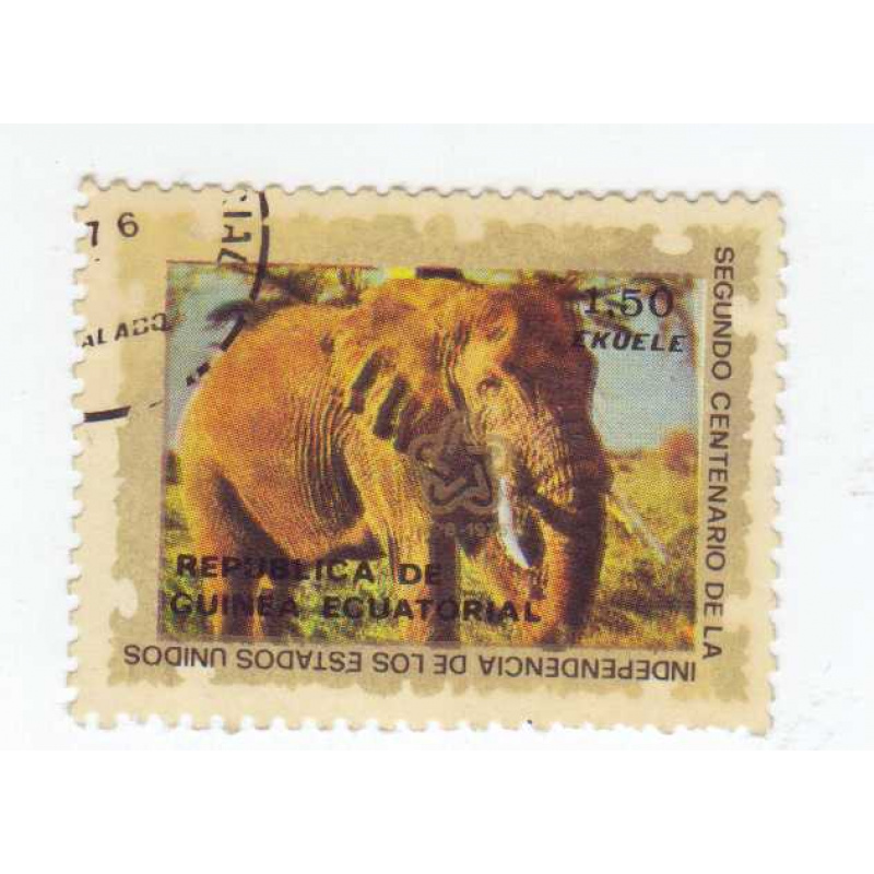 Equatorial Guinea elephant