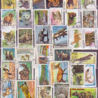50 All different animals sets