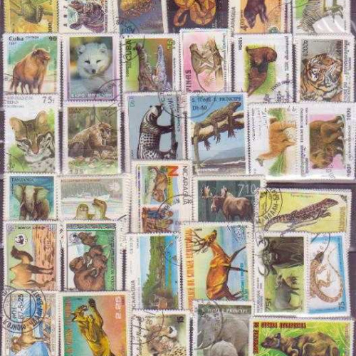 50 All different animals sets