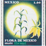 Mexico #1289