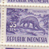 Indonesia #429