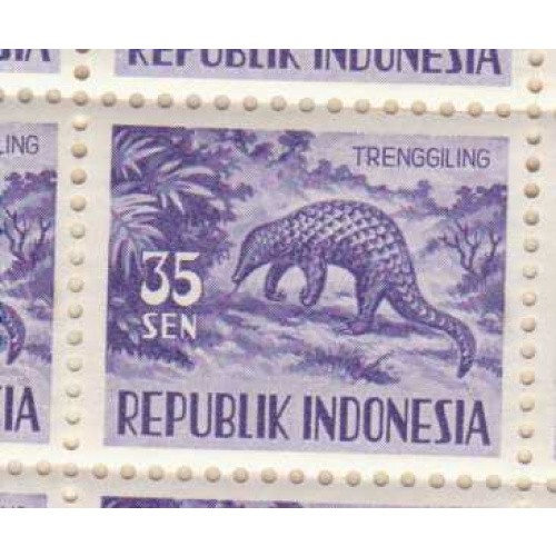 Indonesia #429