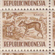 Indonesia #425