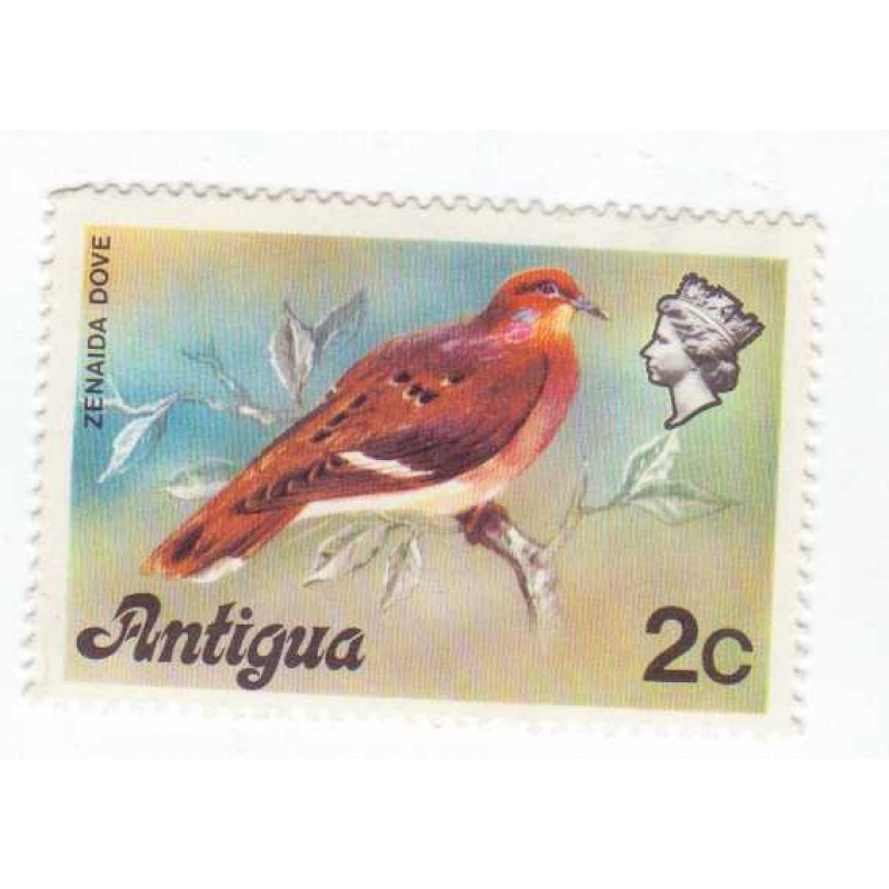 Antiqua #407