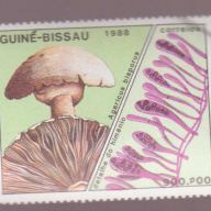 Guinea-Bissau #770