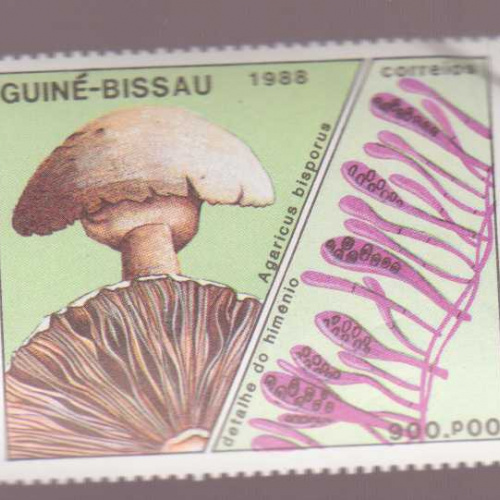 Guinea-Bissau #770