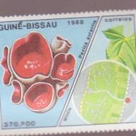 Guinea-Bissau #765