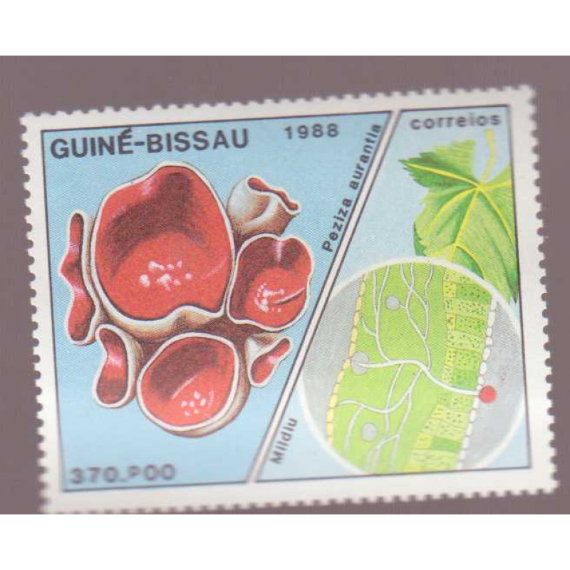Guinea-Bissau #765