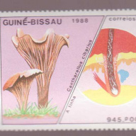 Guinea-Bissau #771