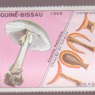 Guinea-Bissau #769