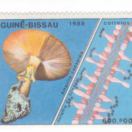 Guinea-Bissau #767