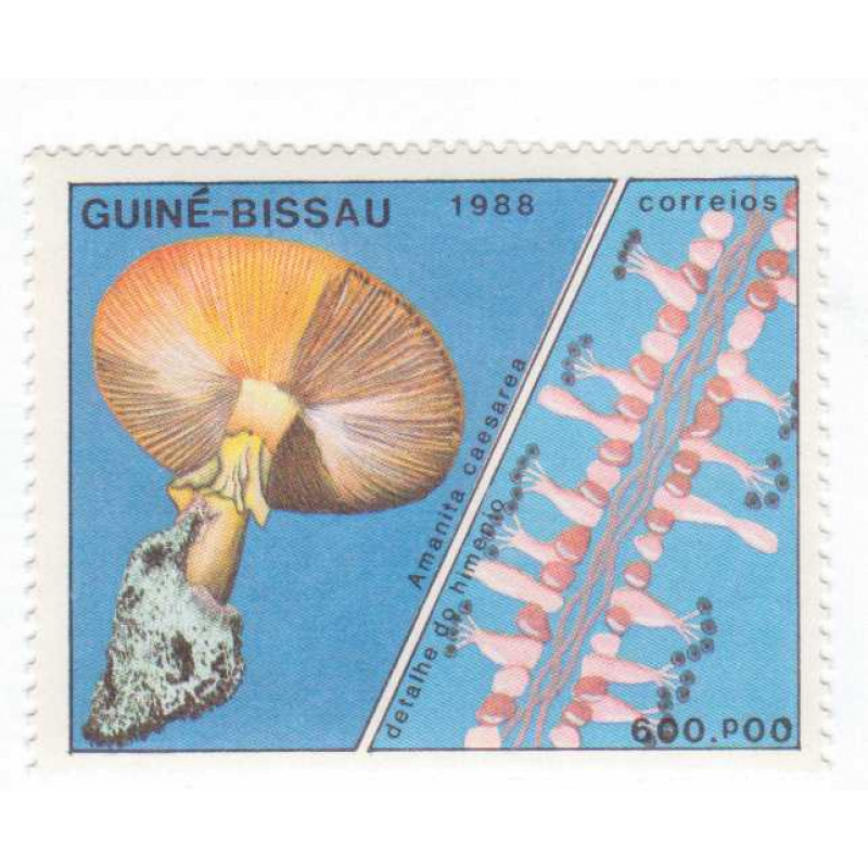 Guinea-Bissau #767