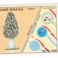 Guinea-Bissau #766