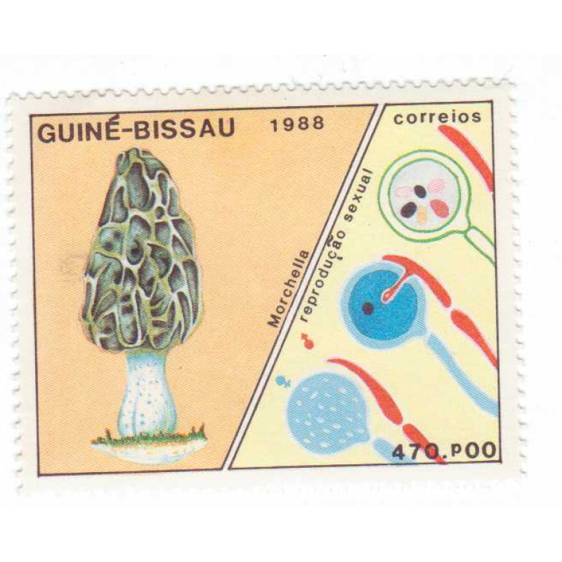 Guinea-Bissau #766