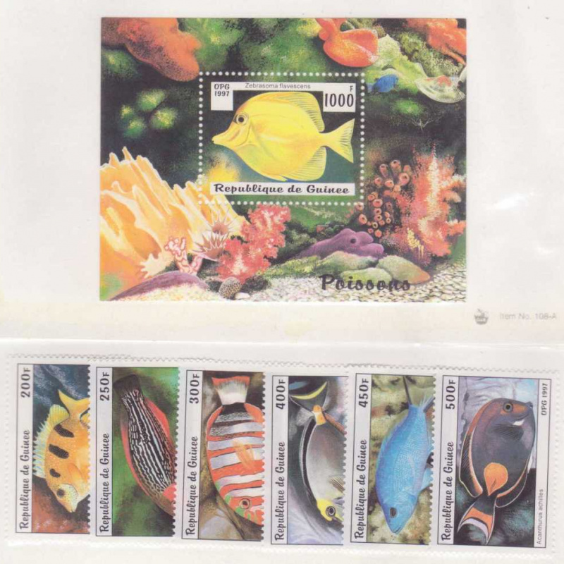 Guinea #1403-09