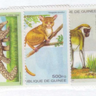 Guinea #1280-84