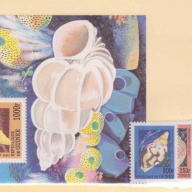 Guinea 1998 Issues Seashells