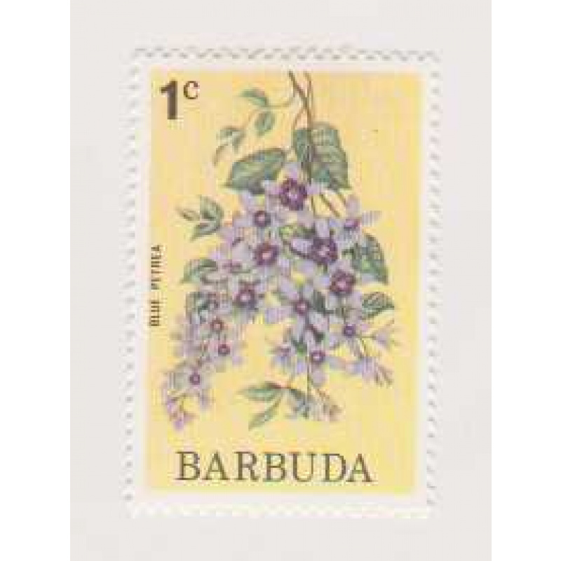 Barbuda #171