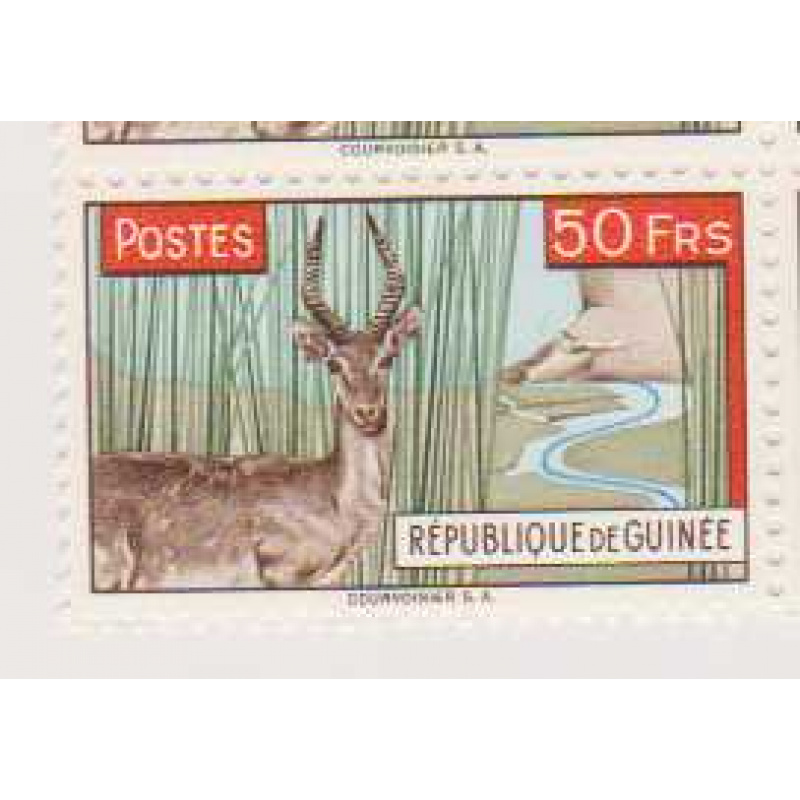 Guinea #218
