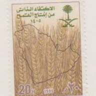Saudi Arabia #933