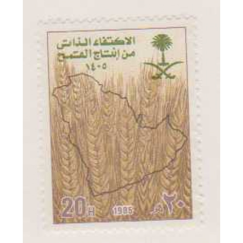 Saudi Arabia #933