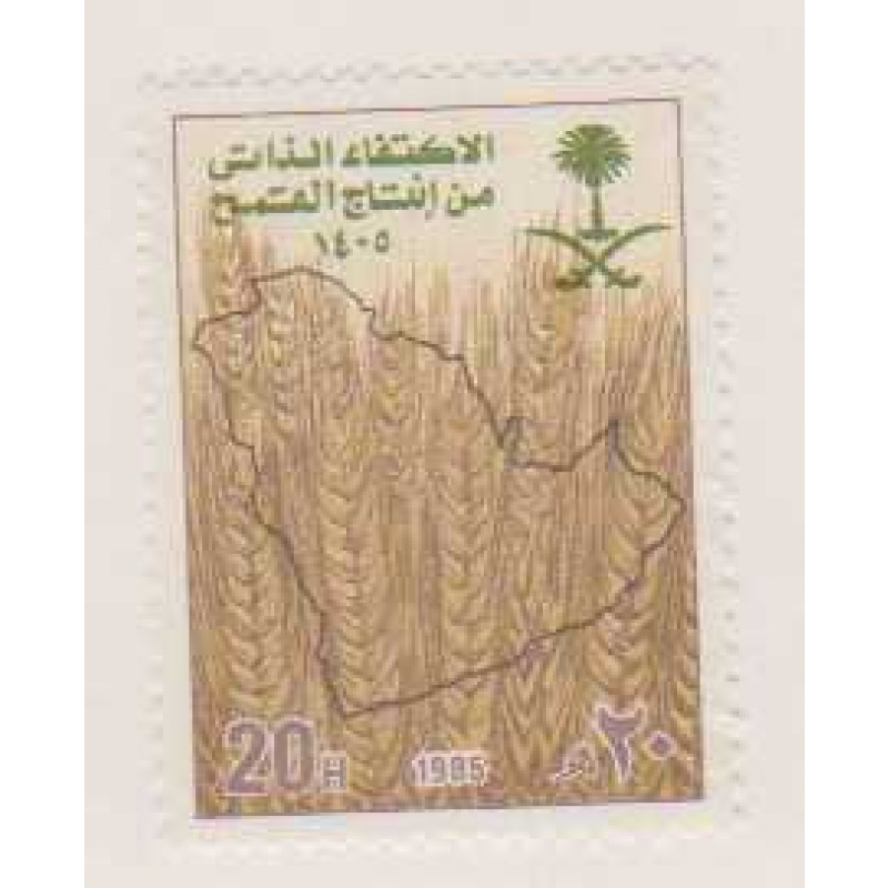 Saudi Arabia #933
