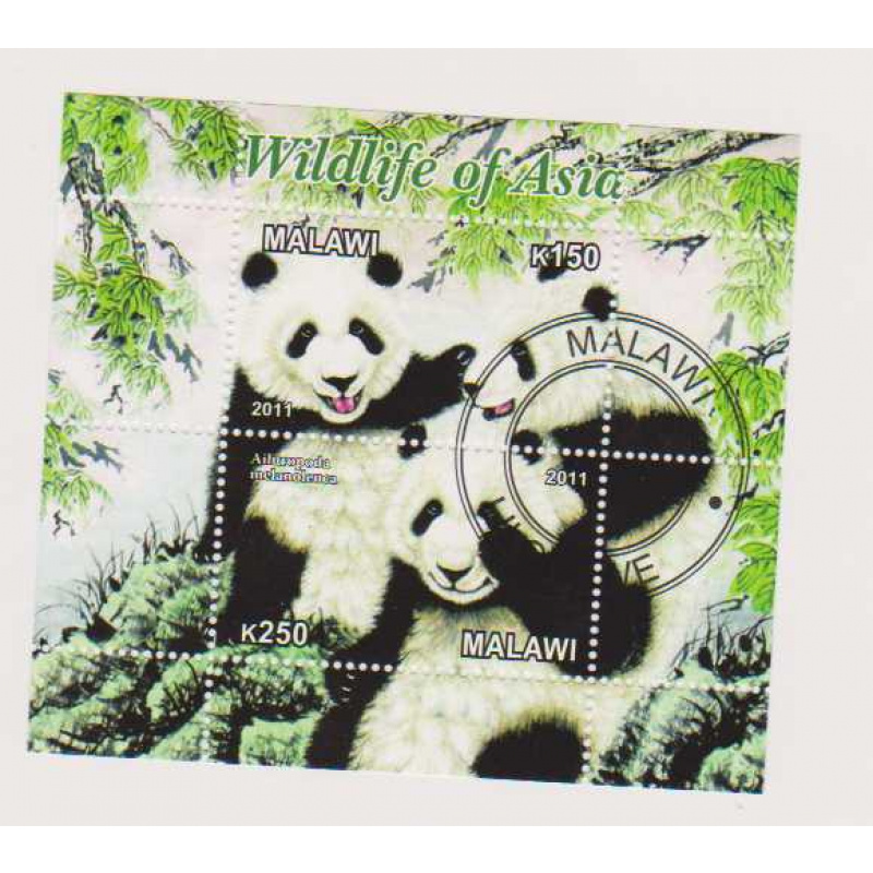 Malawi Pandas Wildlife od Asia