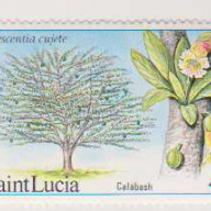 St. Lucia #650