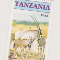 Tanzania #319