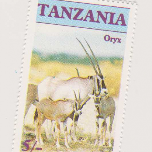 Tanzania #319