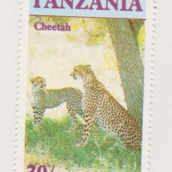 Tanzania #322