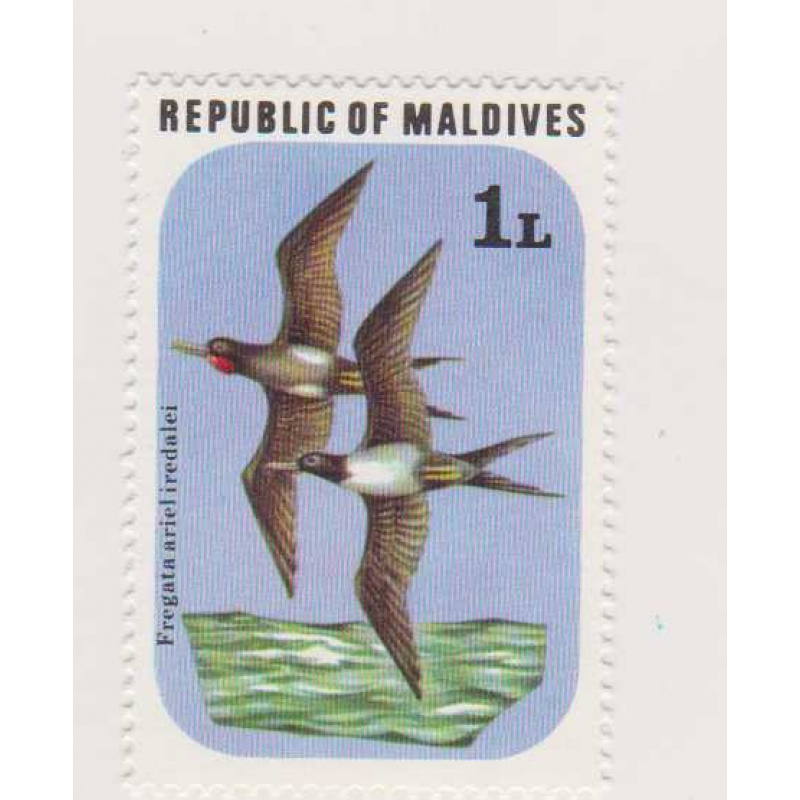 Maldives #682