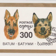 Batum Dogs