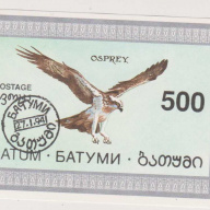 Batum Eagle