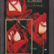 Ajman First lady Roses